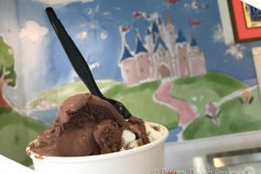 ample-hills-2-selections-in-dish-castle