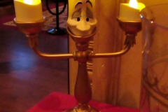 9-16-bog-lumiere