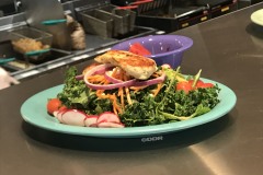 WATERMARKEDsalad
