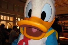 cape-may-donald-duck