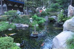 nine-dragons-fish-pond