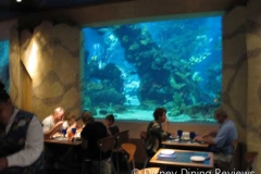 coral-reef-tank-shot-3