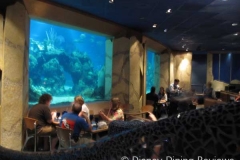 coral-reef-tank-shot