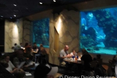 coral-reef-tank-shots-2