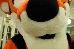 cp-din-tigger-clear
