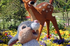 fgf17-bambi-thumper
