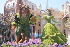 fgf17-beauty-and-the-beast