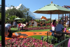 fgf17-play-area-fw