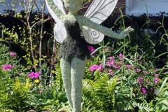 fgf17-tinker-bell
