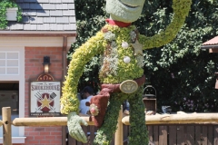 fgf17-woody