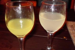 il-mulino-limoncello