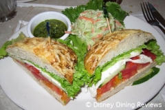 plaza-vegetarian-sandwich