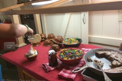 te-dinner-buffet-dessert-ice-cream-bar