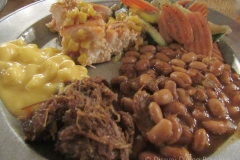 te-dinner-buffet-dinner-plate-2