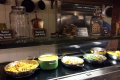 te-dinner-buffet-main-items-2