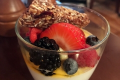 taf-bvb-yogurt-cup